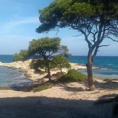 Haus Despina 萨尔蒂