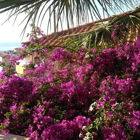 Haus Despina 公寓 *