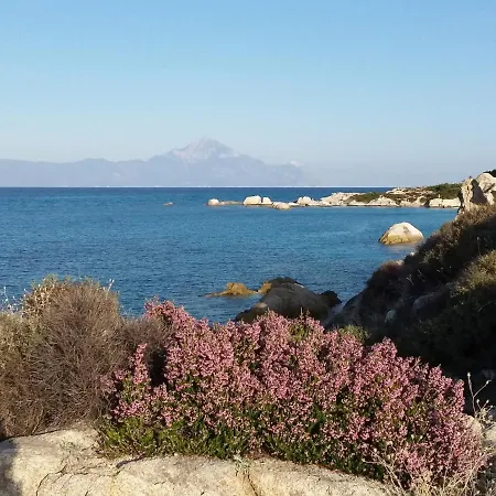 Haus Despina 萨尔蒂