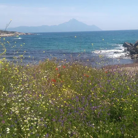 Haus Despina 公寓 *