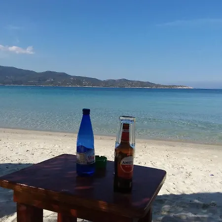 公寓 Haus Despina 萨尔蒂