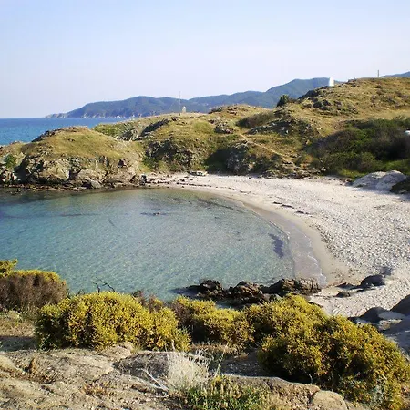 Haus Despina 公寓 萨尔蒂