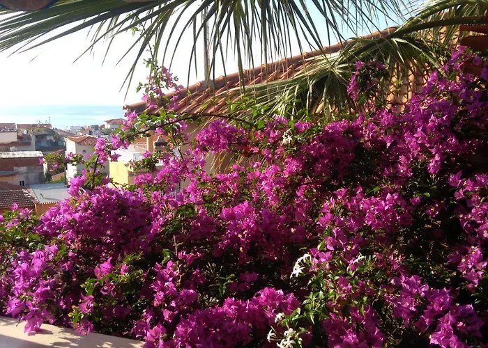 Haus Despina Appartamento *