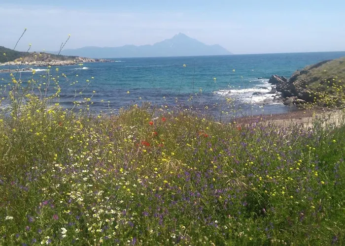 Haus Despina Appartamento *